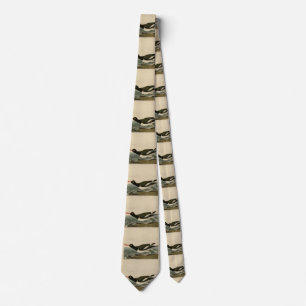Pied oyster-catcher - Audubon's Birds of America Tie