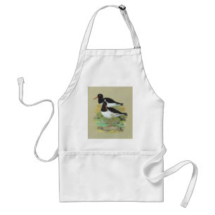 Pied Oystercatcher - Haematopus ostralegus Standard Apron