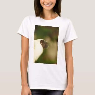 Pied Tamarin T-Shirt