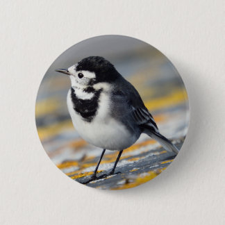 Pied Wagtail Badge 2 Inch Round Button