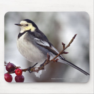Pied Wagtail Mousemat Mouse Pad