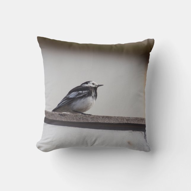 Pied Wagtail Throw Pillow (Front)