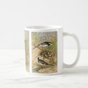 Pied Wagtail Vintage Bird Illustration Coffee Mug