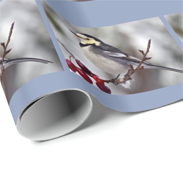 Pied Wagtail Wrapping Paper (Roll Corner)
