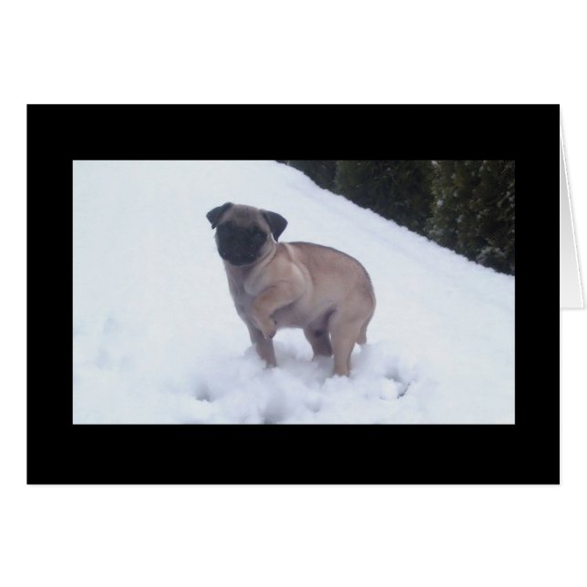 Pieds froids (Devant horizontal)