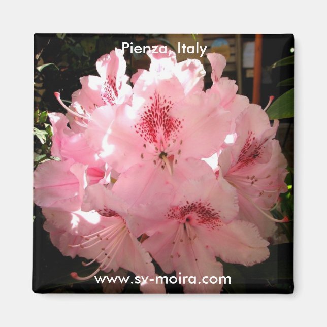 Pienza, Italy Magnet (Front)