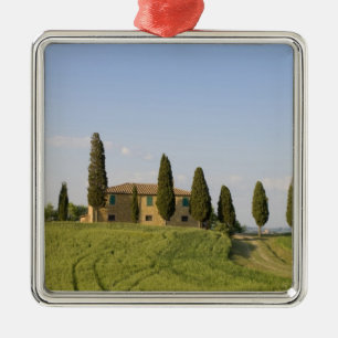 Pienza, Val d'Orcia, Siena province, Tuscany, Metal Ornament