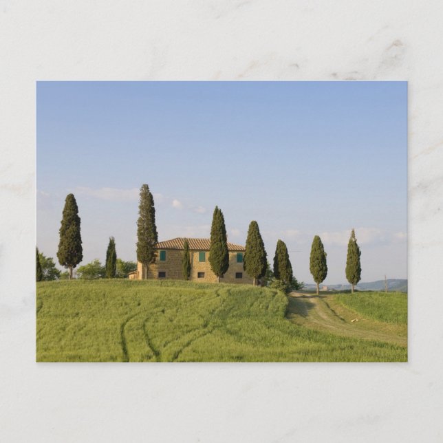 Pienza, Val d'Orcia, Siena province, Tuscany, Postcard (Front)
