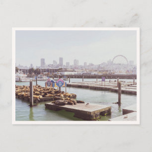 Pier 39 Sea Lions & Ferris Wheel San Francisco Postcard
