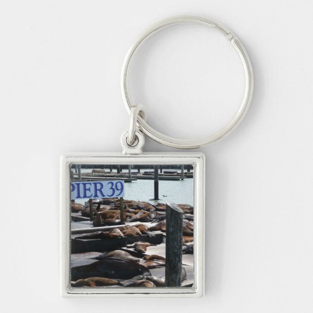 Pier 39 Sea Lions Keychain (Front)
