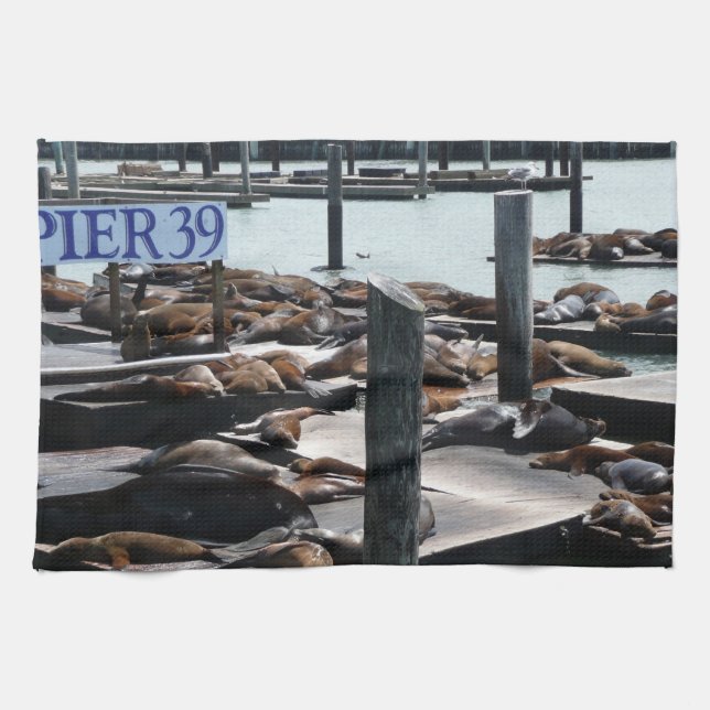Pier 39 Sea Lions Kitchen Towel (Horizontal)