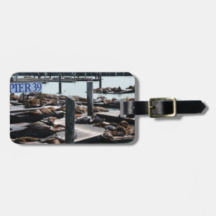 Pier 39 Sea Lions Luggage Tag