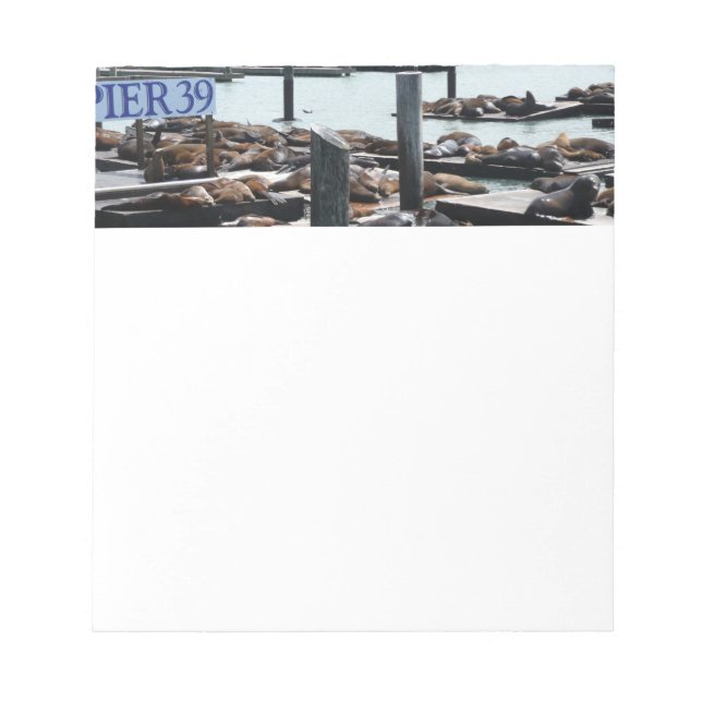 Pier 39 Sea Lions Notepad (Front)