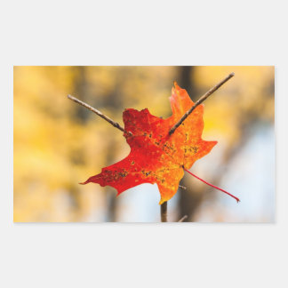 pierced in autumn sticker