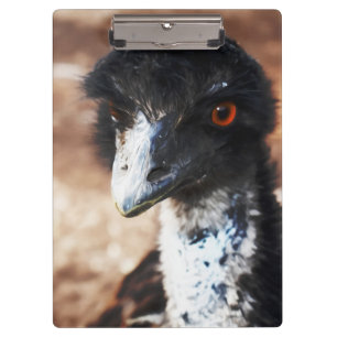 Piercing Eyes of the Outback Clipboard