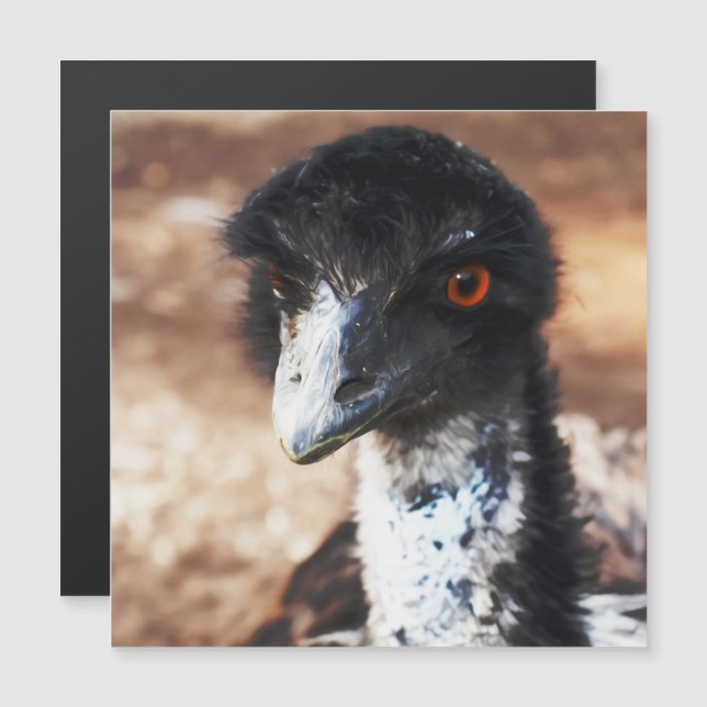 Piercing Eyes of the Outback Magnetic Card (Front/Back)