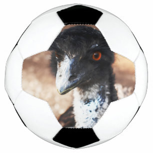 Piercing Eyes of the Outback Soccer Ball