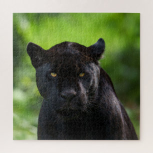 Piercing Silence – Black Jaguar Jigsaw Puzzle