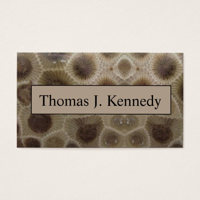 Pierre de Petoskey (Devant)