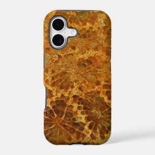 Pierre gemme naturelle de corail fossilisée de