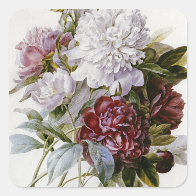 Pierre Joseph Redoute - A Bouquet Of Red Peonies Square Sticker (Front)