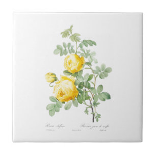 PIERRE-JOSEPH REDOUTÉ "YELLOW ROSE" CERAMIC TILE