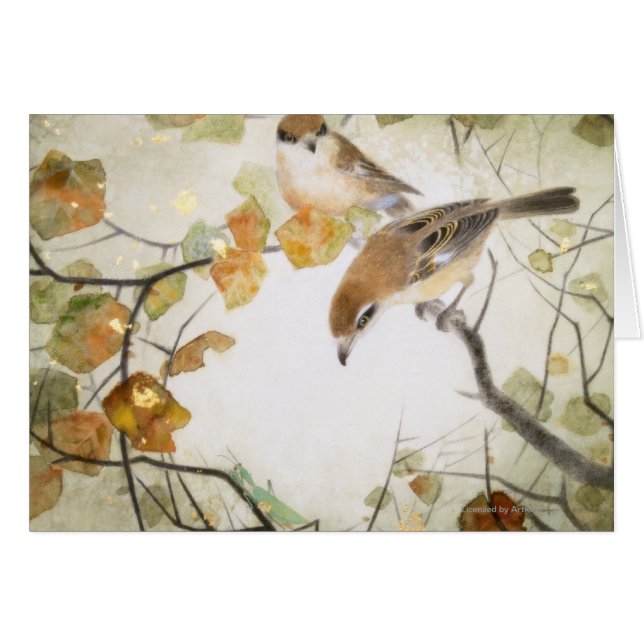 Pies-grièches Créature-Taureau-dirigées peu (Devant horizontal)