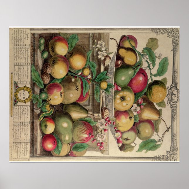 Pieter Casteels, Twelve Months of Fruits, March Poster (Front)