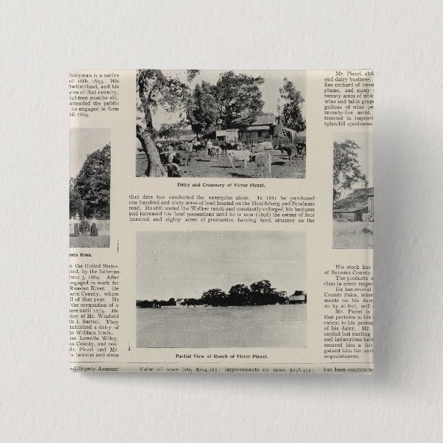 Piezzi Ranch, Harris Vineyard, California 2 Inch Square Button (Front)