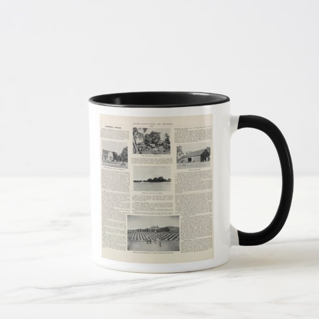 Piezzi Ranch, Harris Vineyard, California Mug (Right)