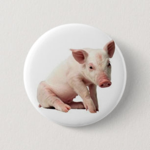 pig 2 inch round button