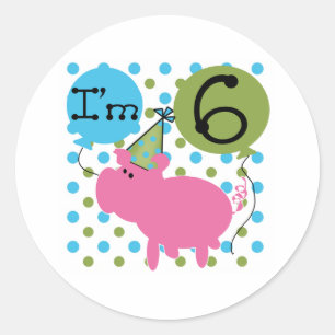 Pig 6th Birthday Classic Round Sticker