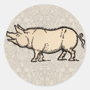 Pig Antique Piggy Cute Vintage Illustration Classic Round Sticker