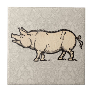 Pig Antique Piggy Cute Vintage Illustration Tile