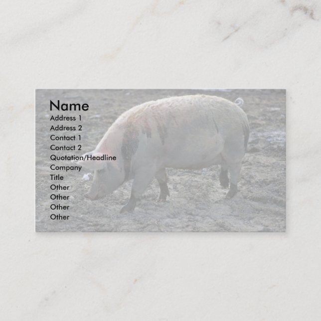 Pig Business Card (Front)