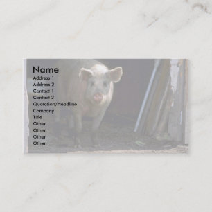Pig Business Card
