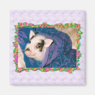 Pig dans l'enveloppement de serviette Magnet Carré