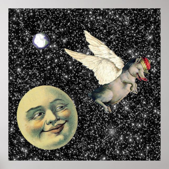 Pig Dreams Poster (Front)