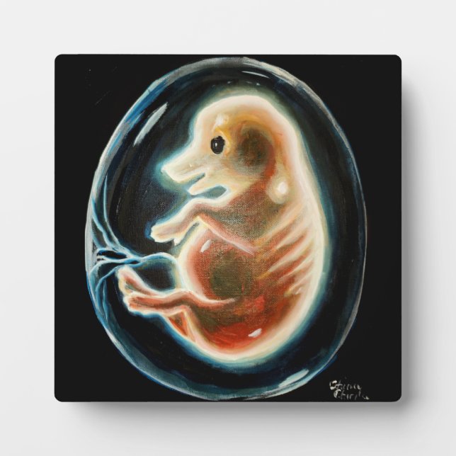 Pig embryo plaque (Front)