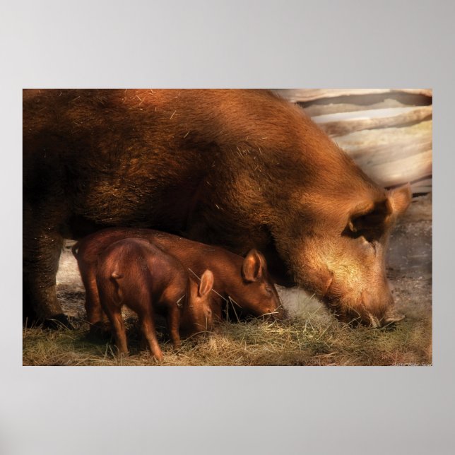 Pig - Family Bonds Poster (Front)