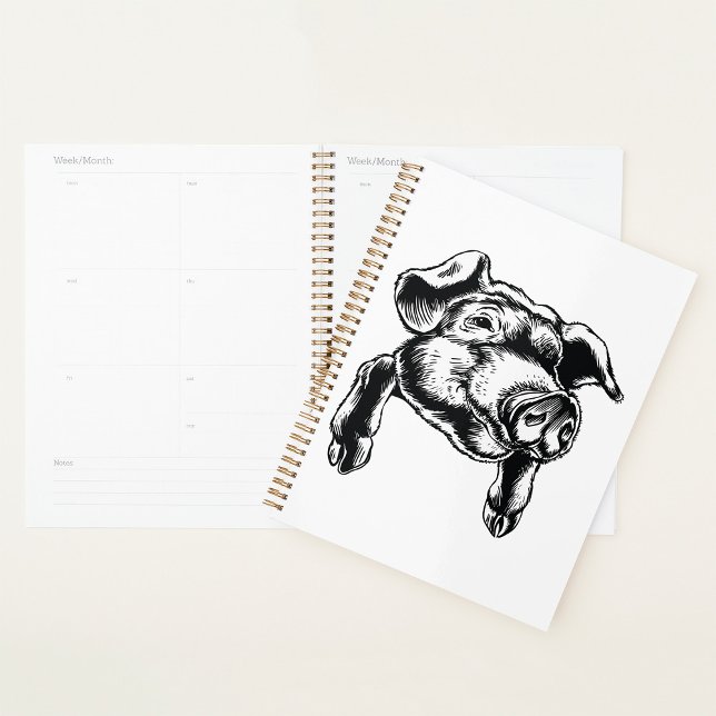 Pig Head Farm Animal Drawing in Black White (Créateur téléchargé)