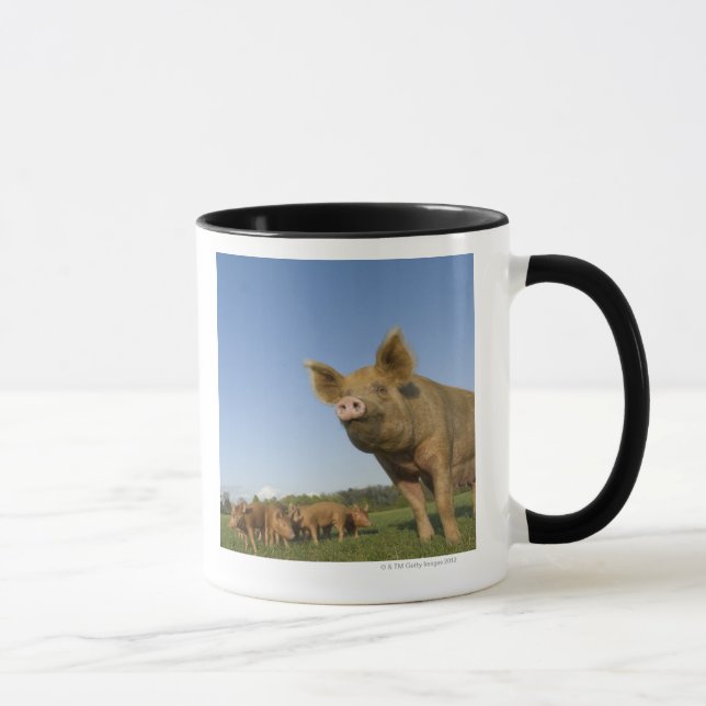 Pig in a Field Mug (Right)