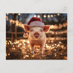 Pig in a Santa Hat Postcard