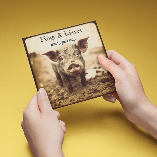 Pig in the Mud, hugs and kisses, customizable Holiday Card (Creator Uploaded)