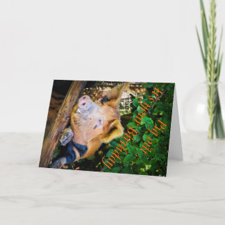 Pig out Carte d'anniversaire