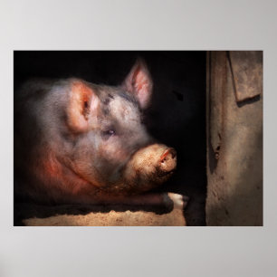 Pig - Piggy number two Poster