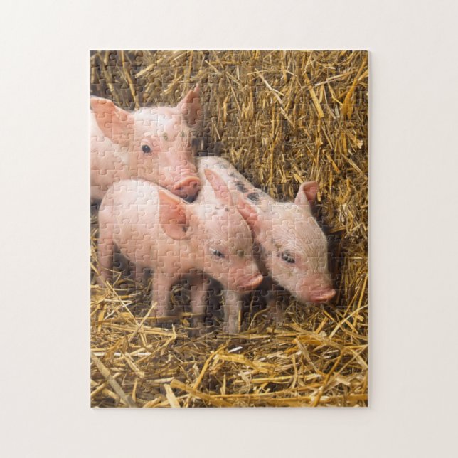 Pig Piglet Hay Jigsaw Puzzle (Vertical)