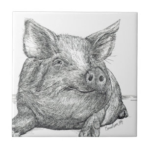 Pig Piglet Tile