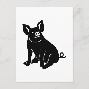 Pig Postcard