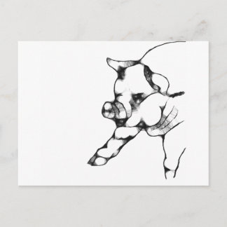 pig postcard